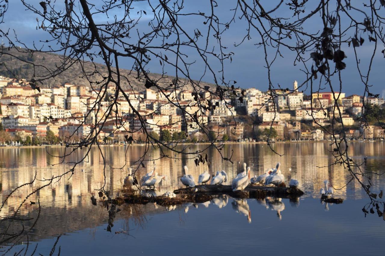 Kastoria Apartment Μπροστά Στη Λίμνη Στο Κέντρο Exterior foto